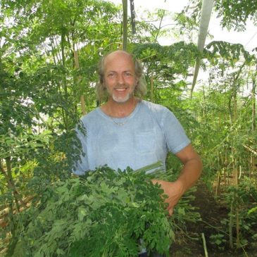 Moringa & Groentepakket