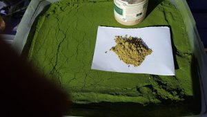 Vier jaar Moringa's Finest