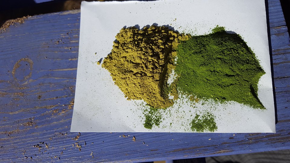 Vier jaar Moringa's Finest