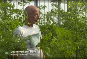 Moringa's Finest in BinnensteBuiten KRO NCRV