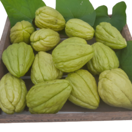 4 Kilogram Chayote vruchten